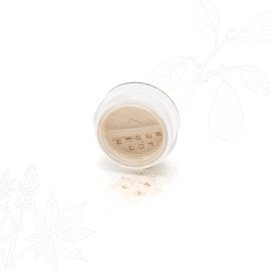 Color Extending Powder Eye Primer by Lauren Brooke Cosmetiques sold by Zulily