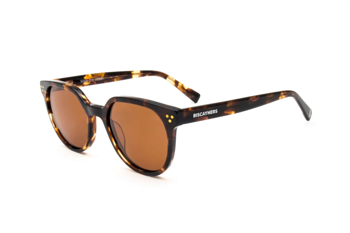 Biscayners Westwood Tortoise Women's Sunglasses sold by Zulily