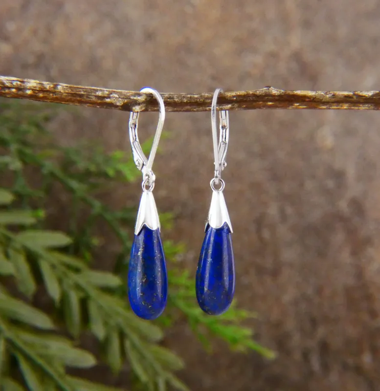 Vera & Co Eggplant Shaped Blue Lapis Women's Earring sold by Zulily