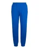 McQ Alexander McQueen Cotton Logo Sweatpants sold by Zulily