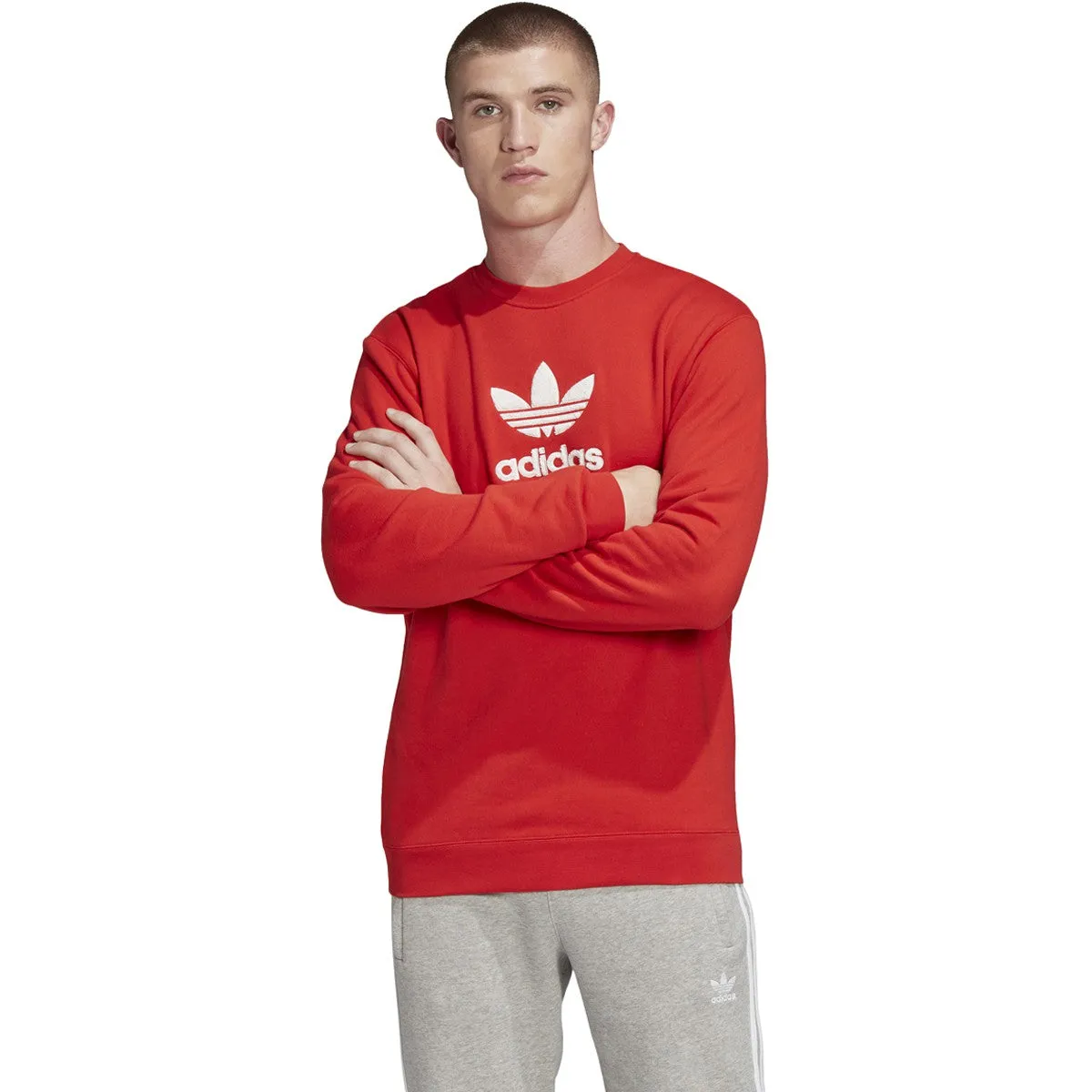 adidas Men's Originals Premium Crewneck - Fm9918 sold by Zulily product image thumbnail 3