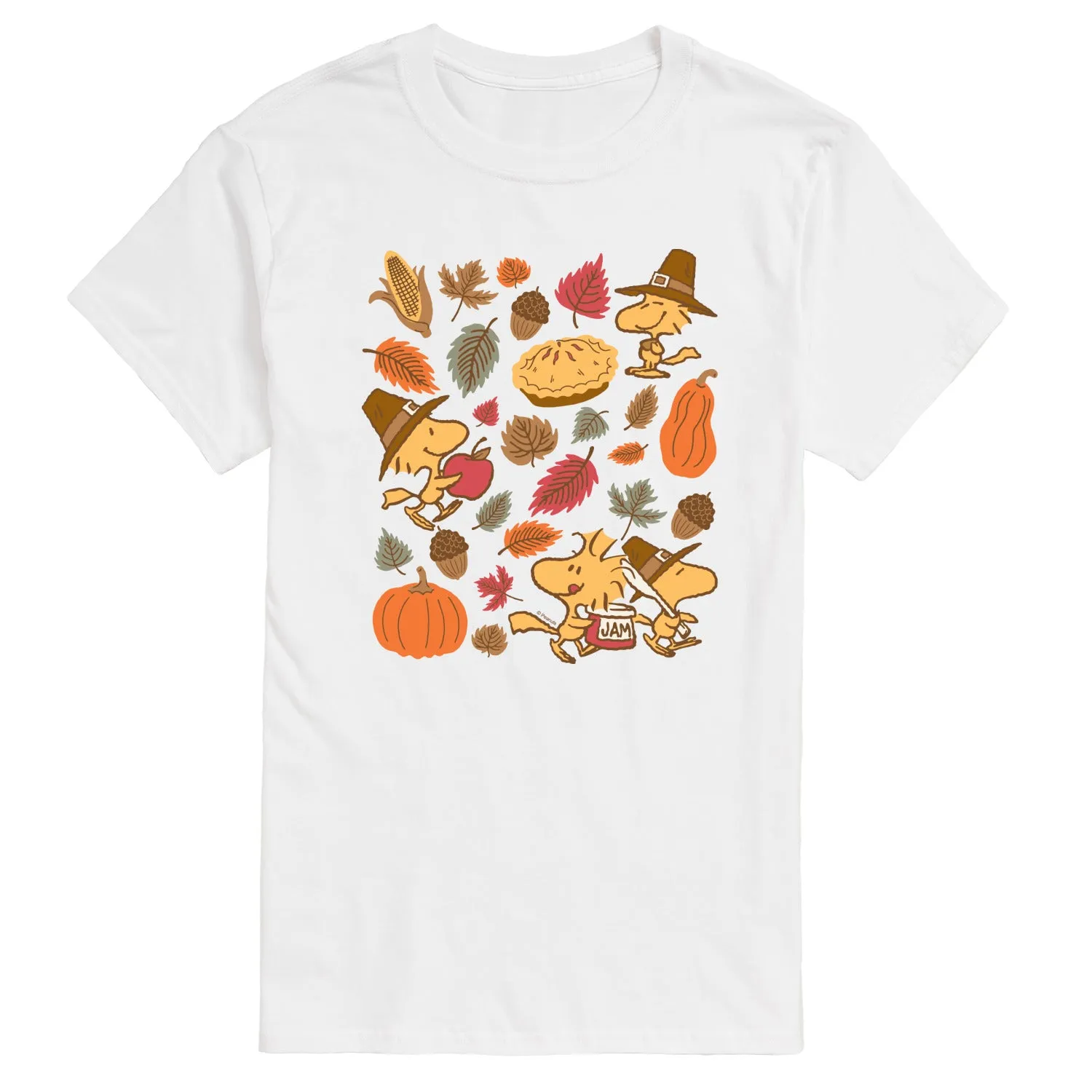 Peanuts - Thanksgiving Woodstocks - Men's Short Sleeve Graphic T-Shirt sold by Zulily product image thumbnail 2