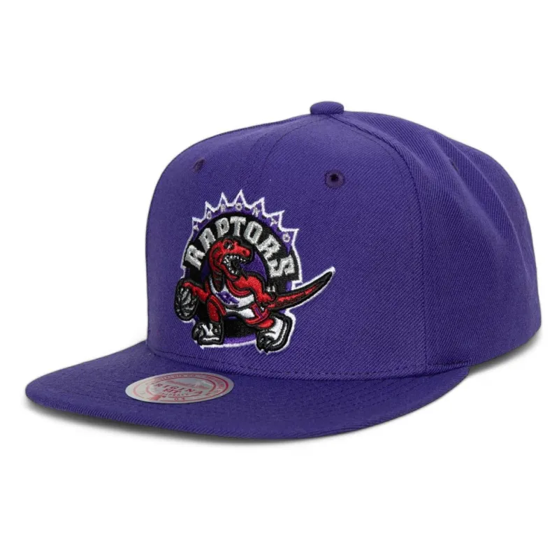 Men's Mitchell & Ness NBA Team Ground 2.0 Snapback Hwc Raptors - Purple sold by Zulily