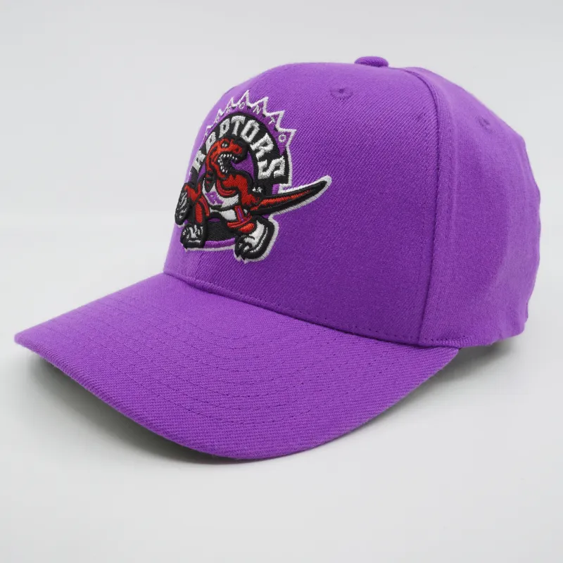 Men's Mitchell & Ness NBA Team Ground 2.0 Stretch Snapback Hwc Raptors - Purple sold by Zulily