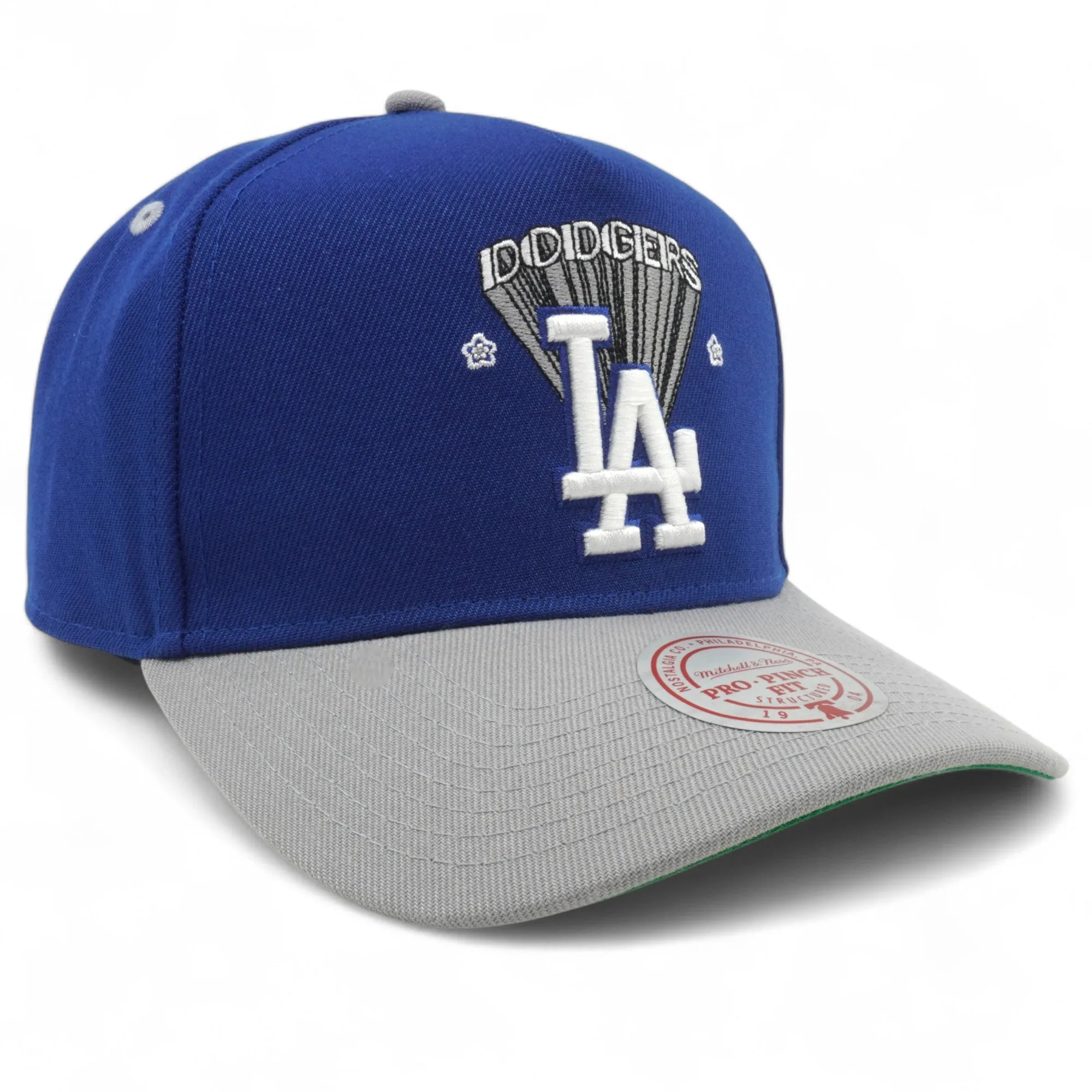 Men's Mitchell & Ness MLB Team Star Pro Snapback Dodgers - Blue sold by Zulily product image thumbnail 3