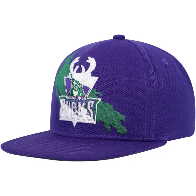 Men's Mitchell & Ness NBA Paint By Number Snapback Hwc Bucks - Purple sold by Zulily
