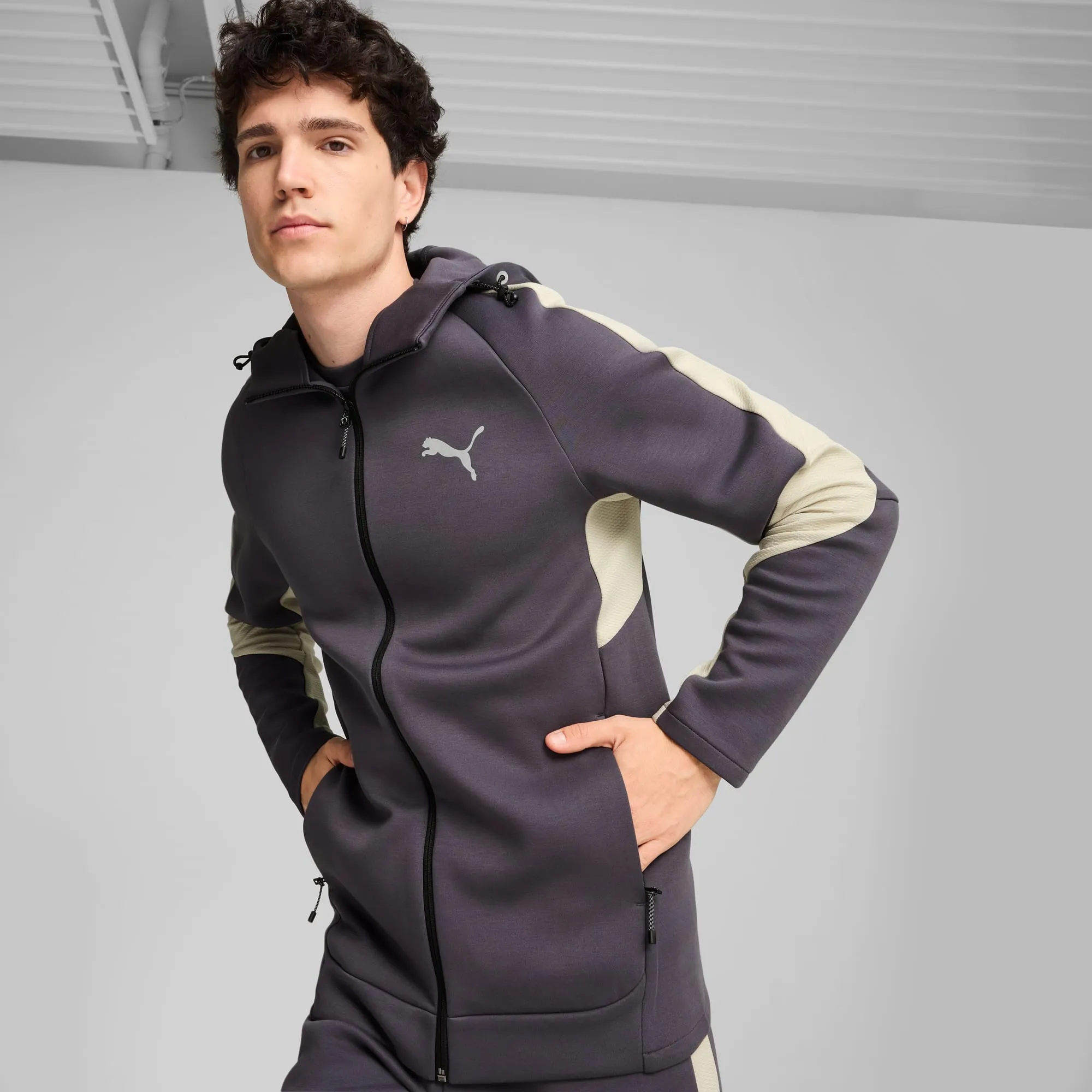 Men's Puma Evostripe Full-Zip Hoodie sold by Zulily product image thumbnail 4