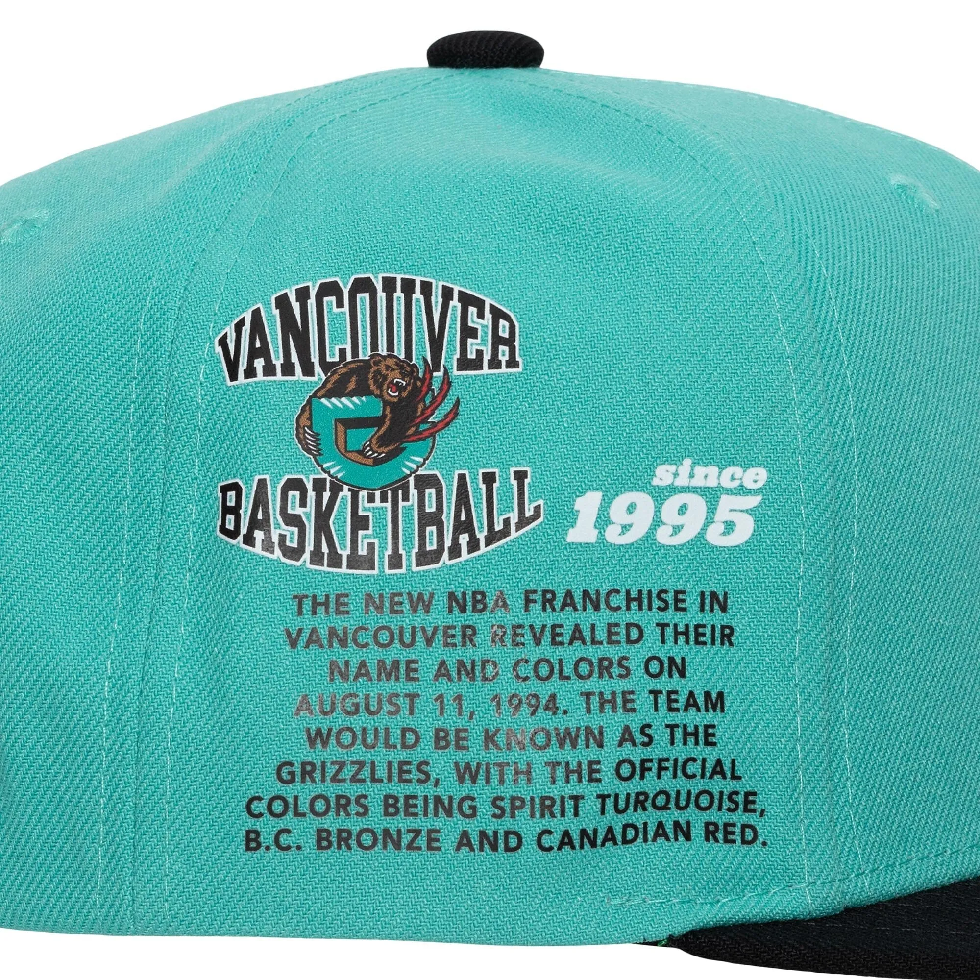 Men's Mitchell & Ness NBA Team Origins Snapback Hwc Grizzlies - Teal sold by Zulily product image thumbnail 3