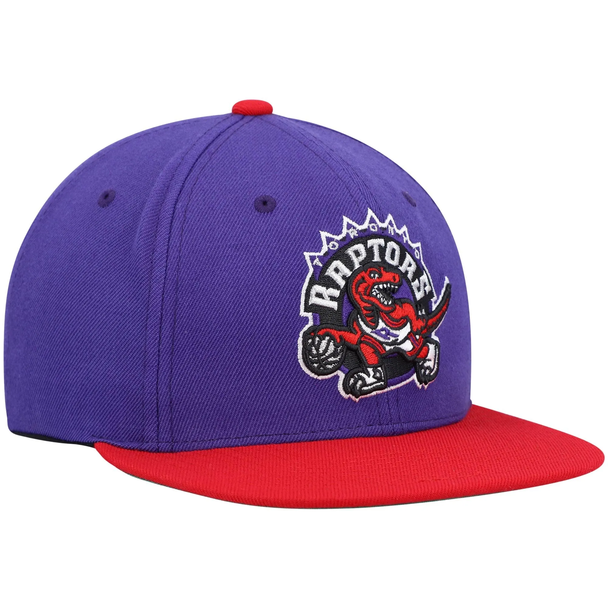 Men's Mitchell & Ness NBA Team 2 Tone 2.0 Snapback Hwc Raptors sold by Zulily product image thumbnail 3
