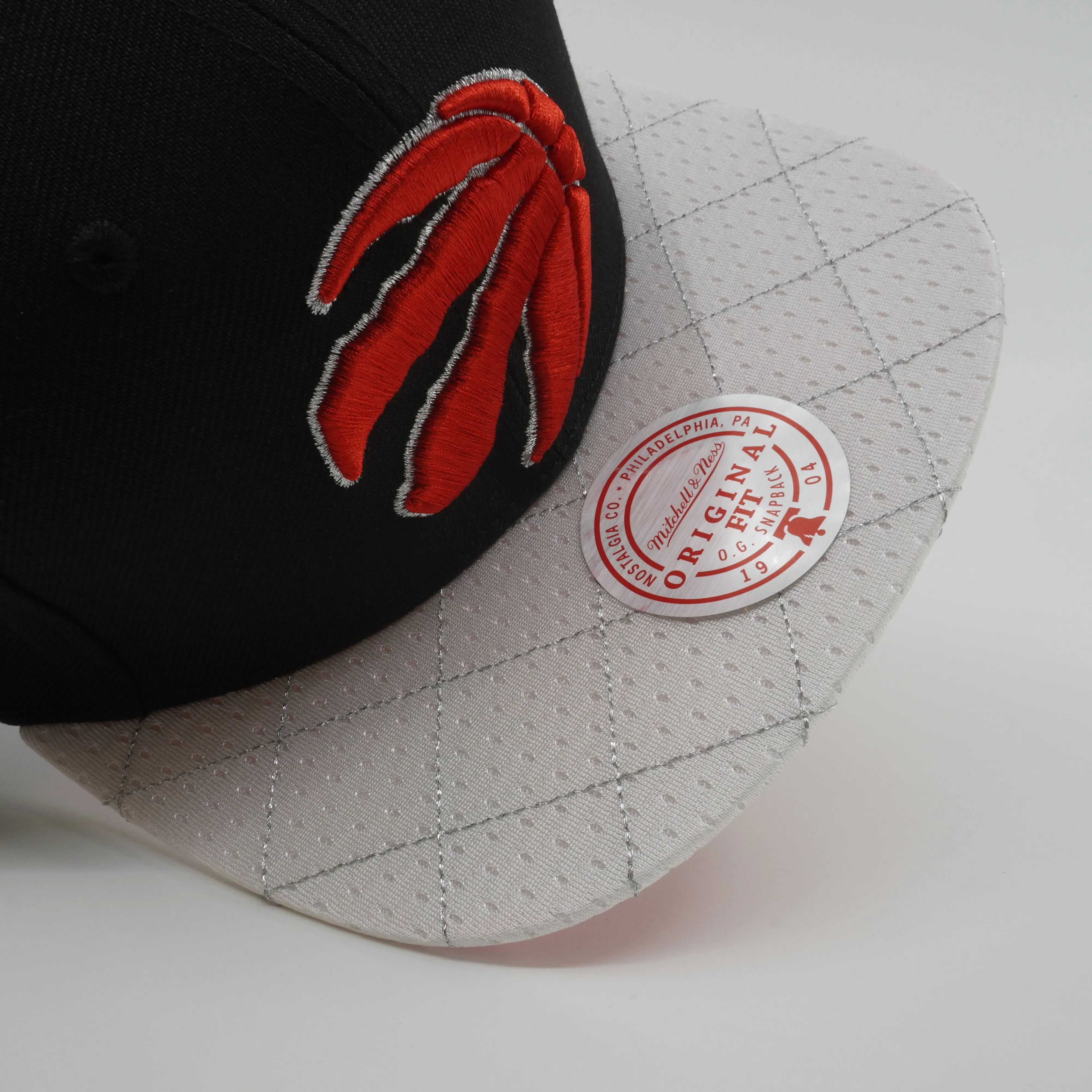 Men's Mitchell & Ness NBA 75Th Platinum Snapback Raptors - Black sold by Zulily product image thumbnail 5