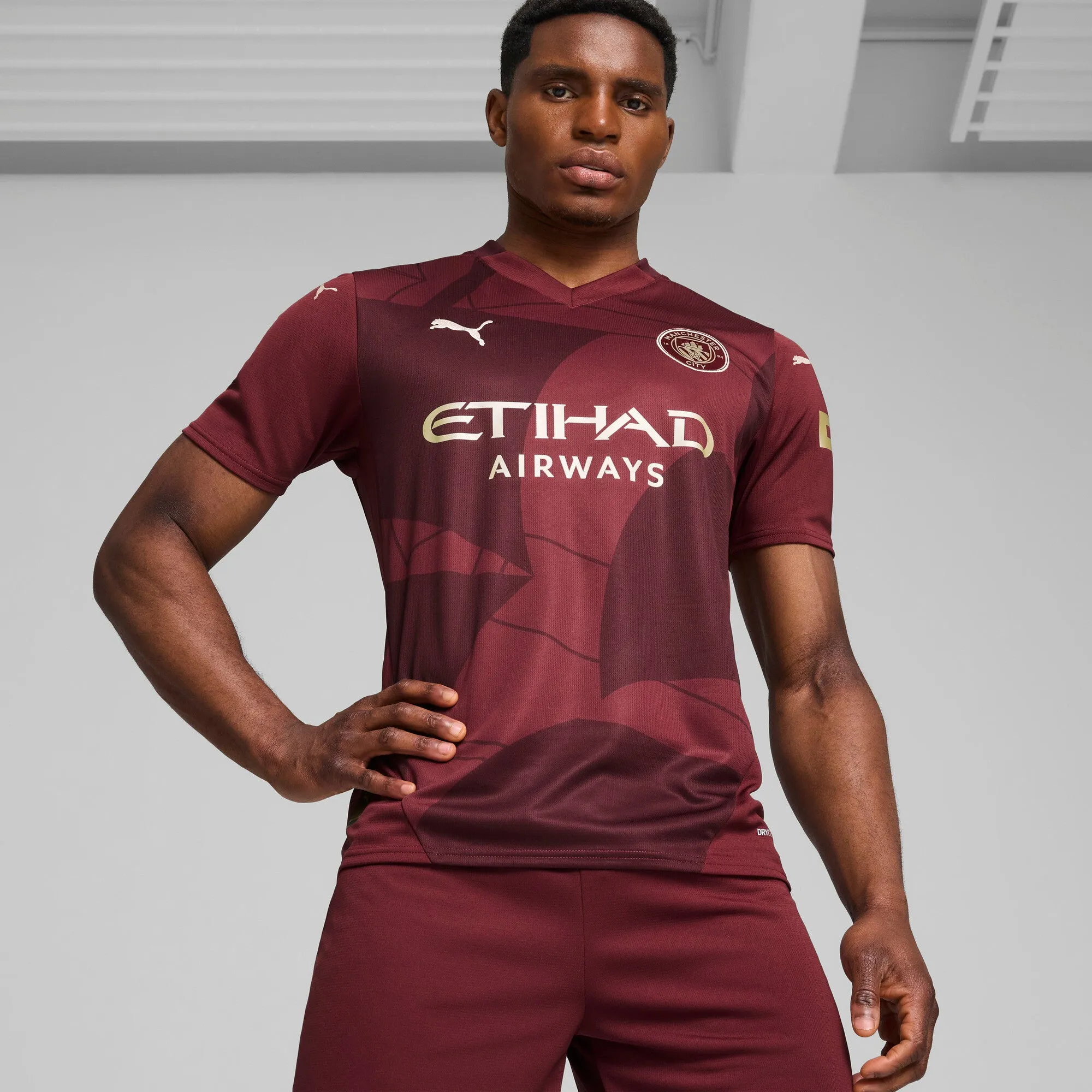 Men's Puma Mcfc Third Jersey Replica sold by Zulily product image thumbnail 3