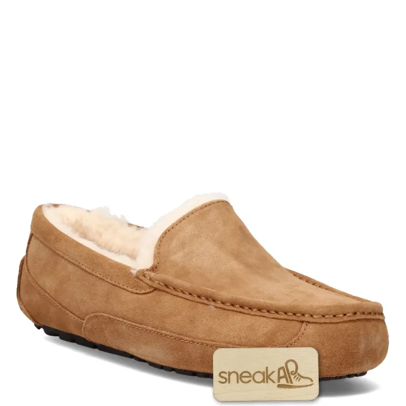 Men's UGG Ascot sold by Zulily