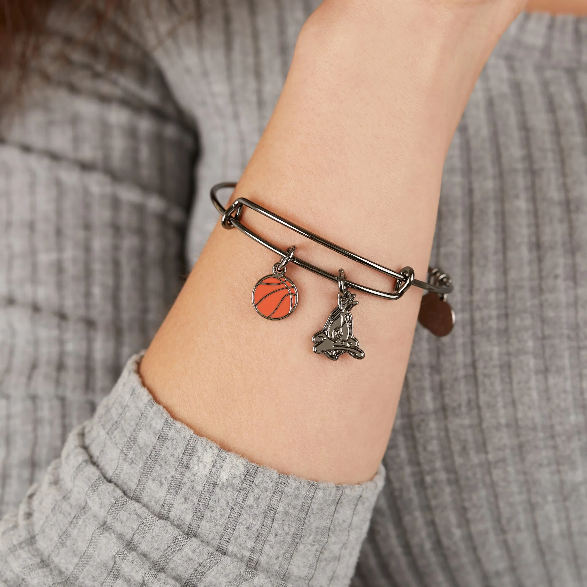 Space Jam Daffy Duck Duo Charm Bangle sold by Zulily product image thumbnail 2