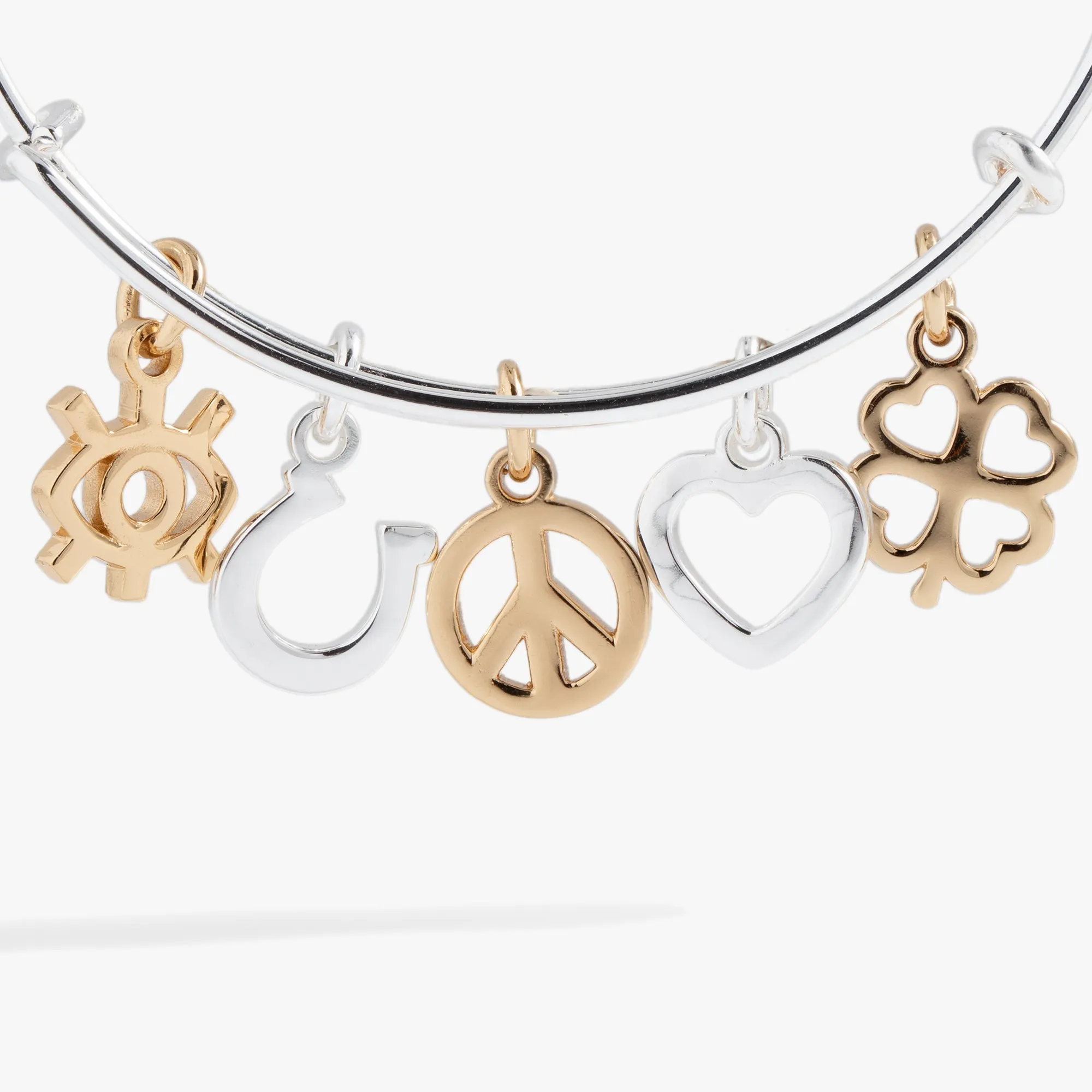 Mixed Symbol Multi-Charm Bangle sold by Zulily product image thumbnail 2