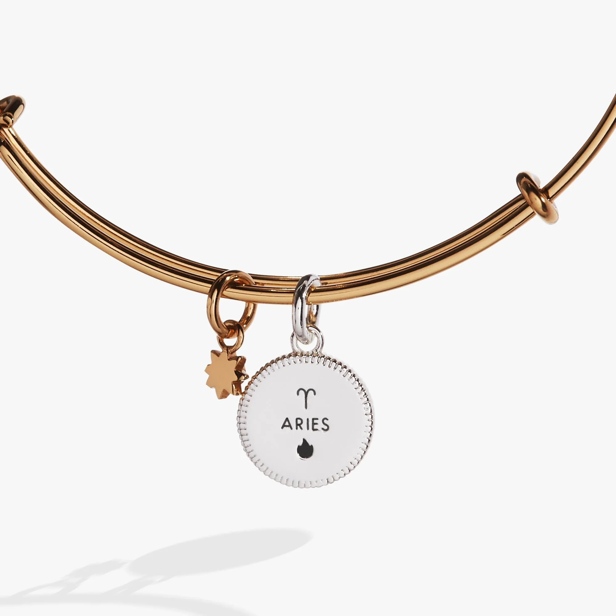 Aries Zodiac Charm Bangle sold by Zulily product image thumbnail 3