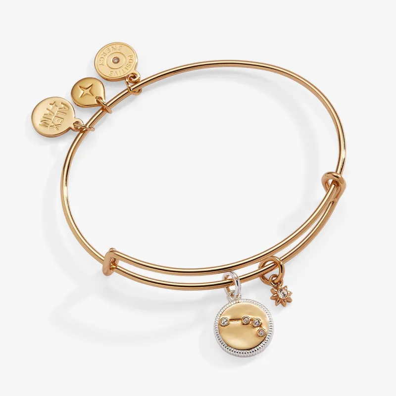 Aries Zodiac Charm Bangle sold by Zulily