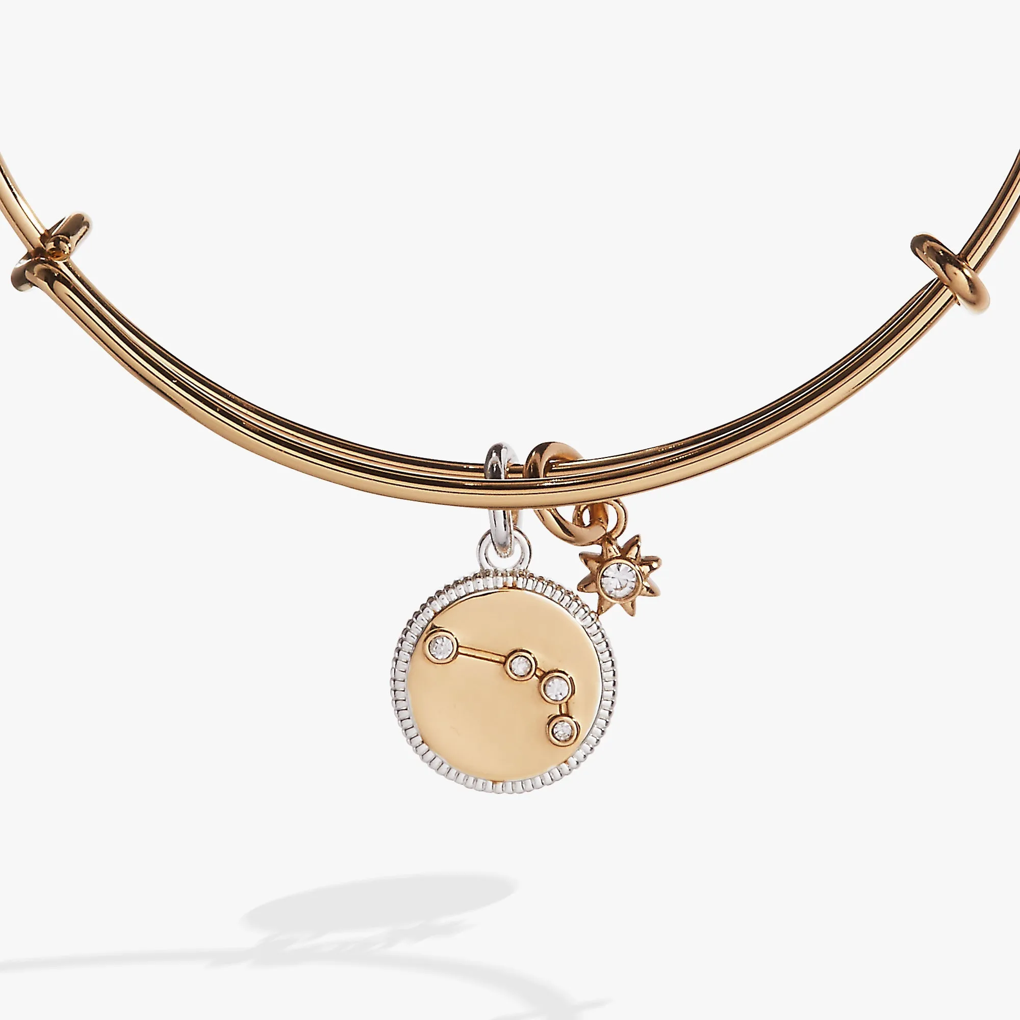 Aries Zodiac Charm Bangle sold by Zulily product image thumbnail 2