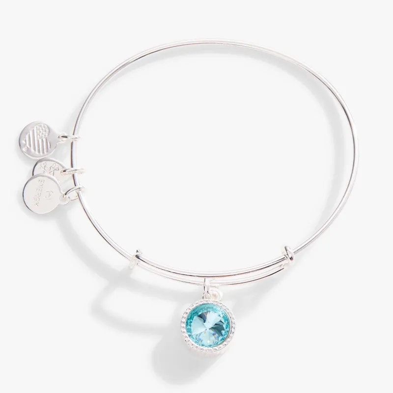 March Birthstone Charm Bangle, Aquamarine sold by Zulily