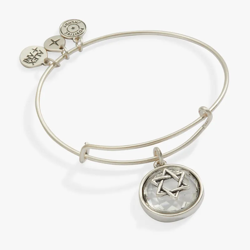 Star of David Crystal Charm Bangle made by Alex and Ani