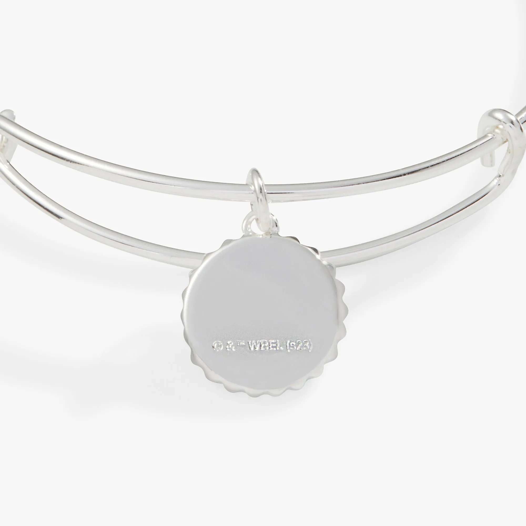 Harry Potter™ Ravenclaw House Charm Bangle sold by Zulily product image thumbnail 2