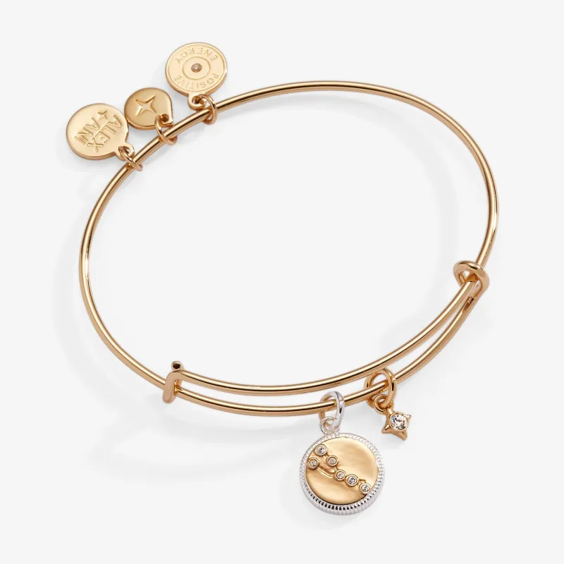 Taurus Zodiac Charm Bangle sold by Zulily