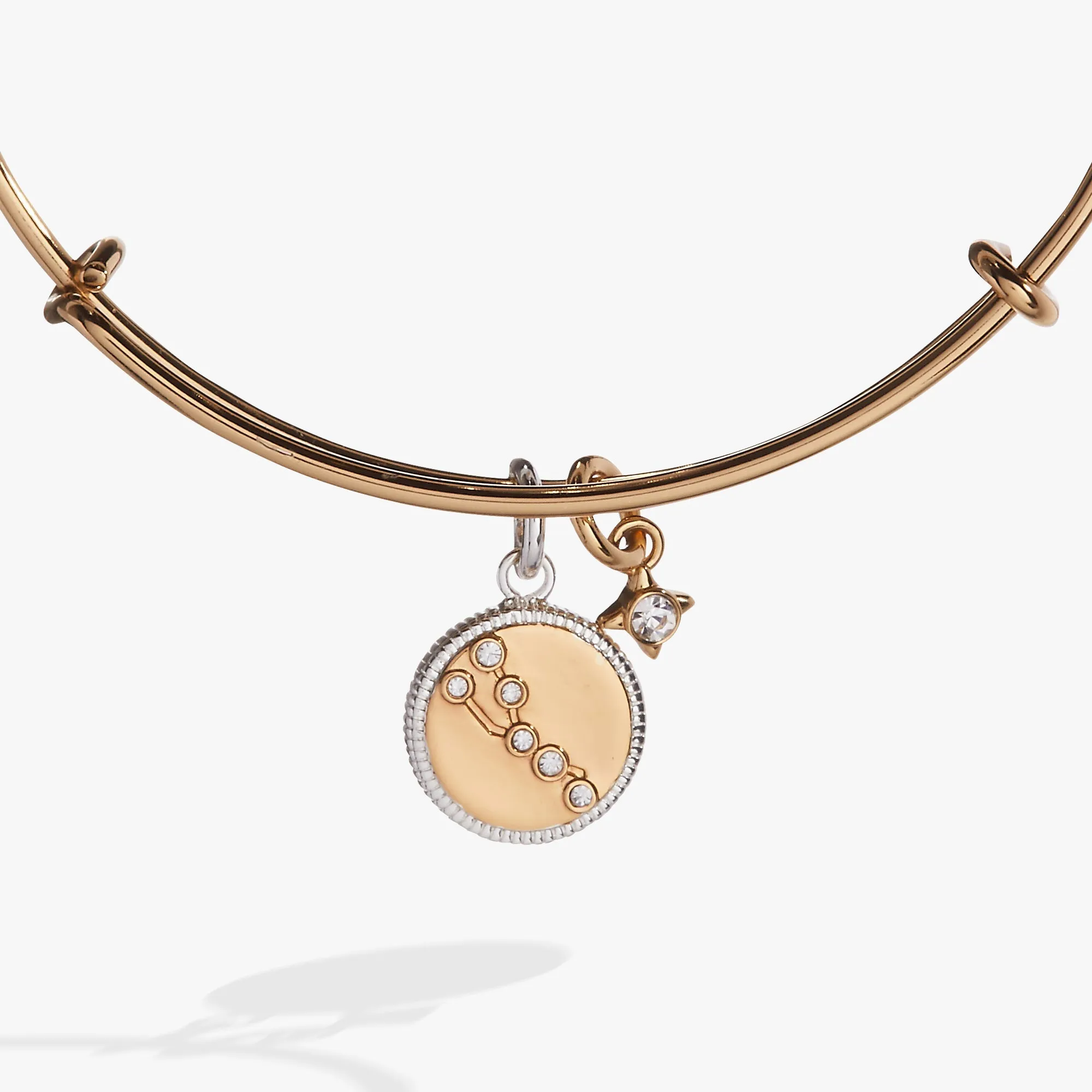 Taurus Zodiac Charm Bangle sold by Zulily product image thumbnail 2