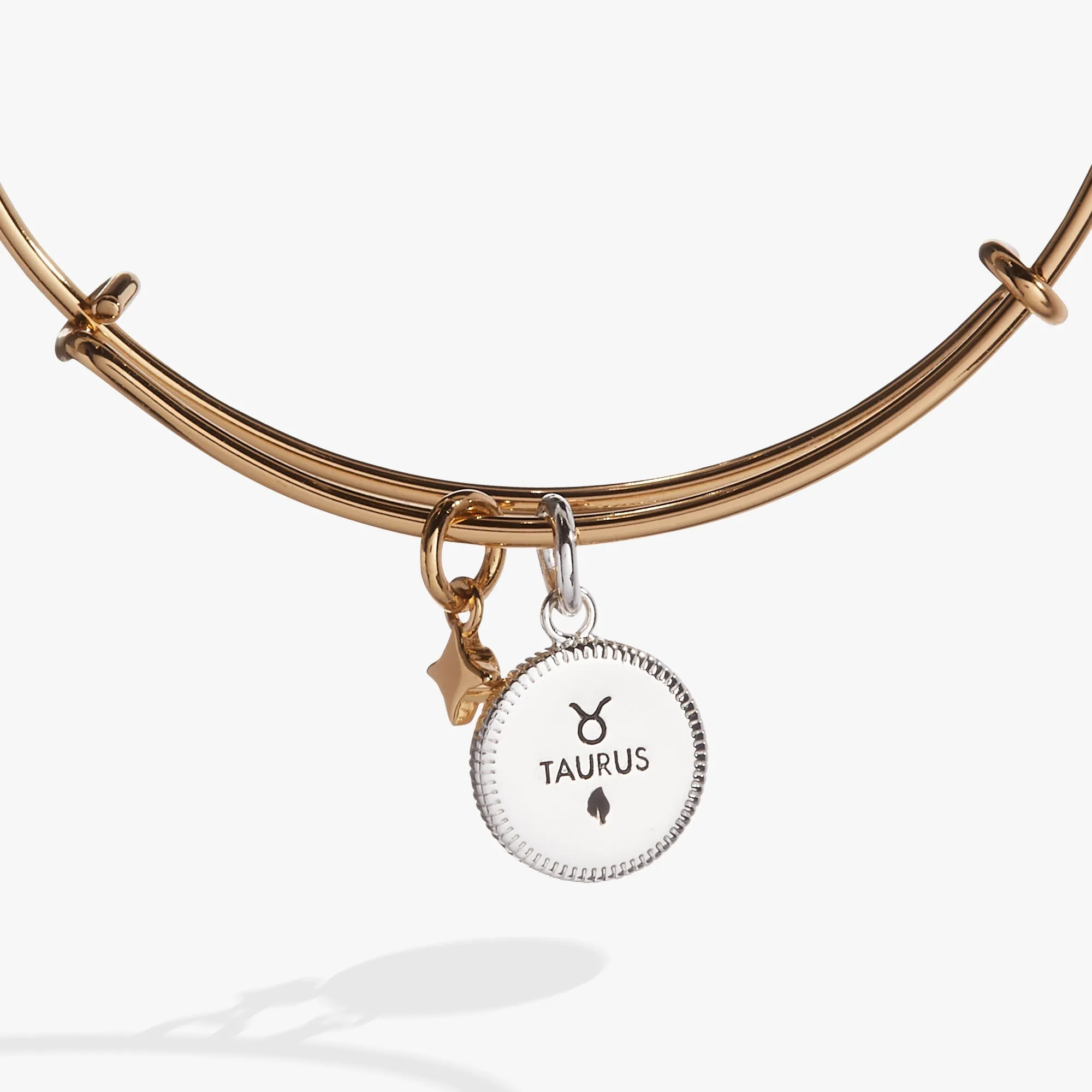 Taurus Zodiac Charm Bangle sold by Zulily product image thumbnail 3
