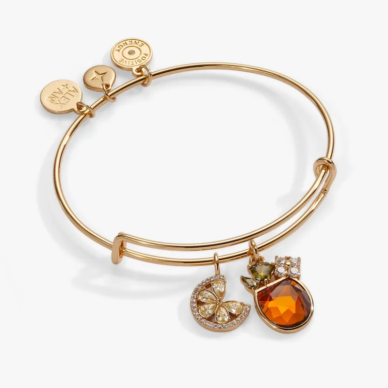 Spritz O Clock Bangle sold by Zulily