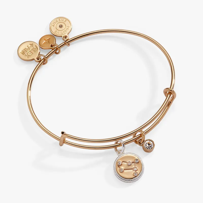 Gemini Zodiac Charm Bangle sold by Zulily