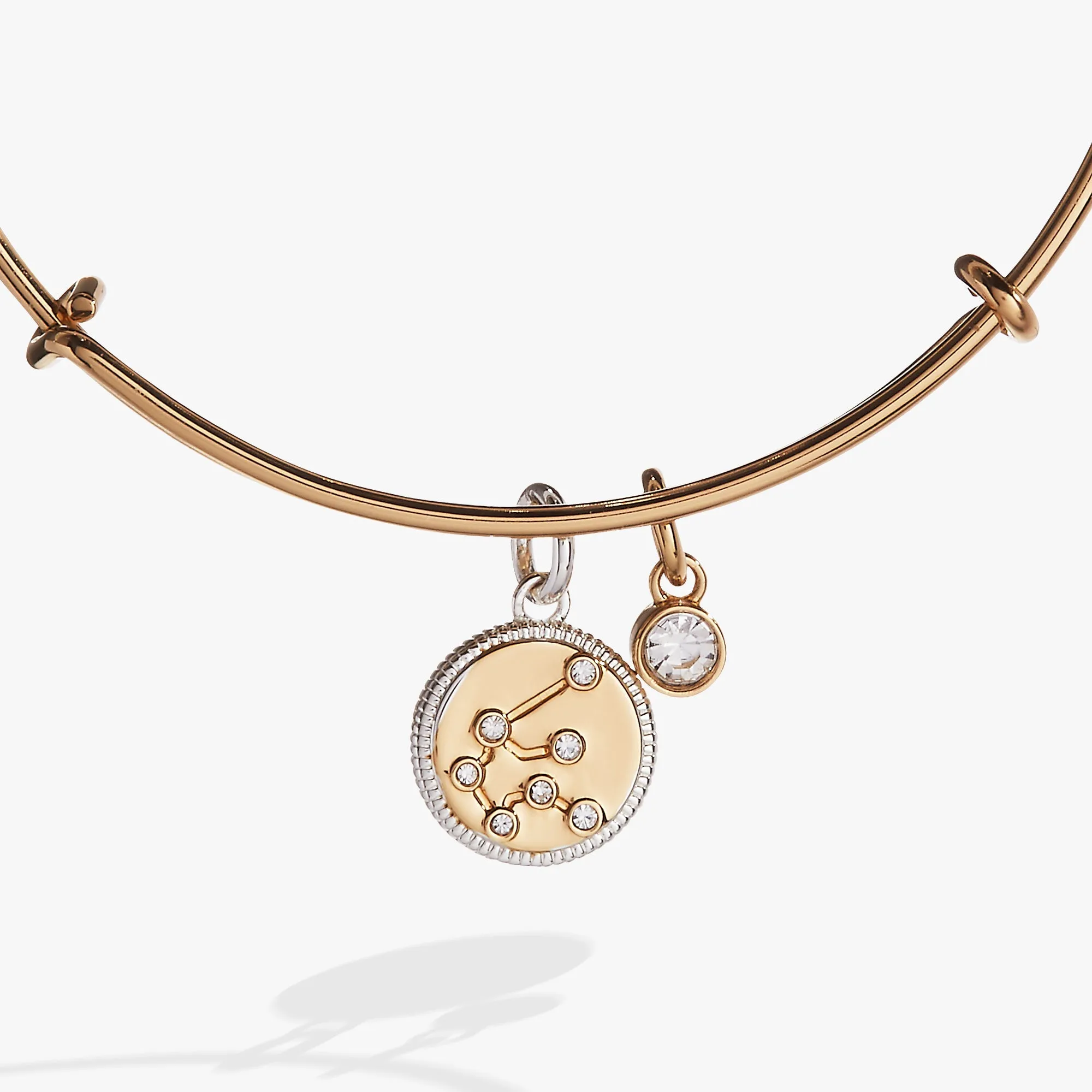 Aquarius Zodiac Charm Bangle sold by Zulily product image thumbnail 2