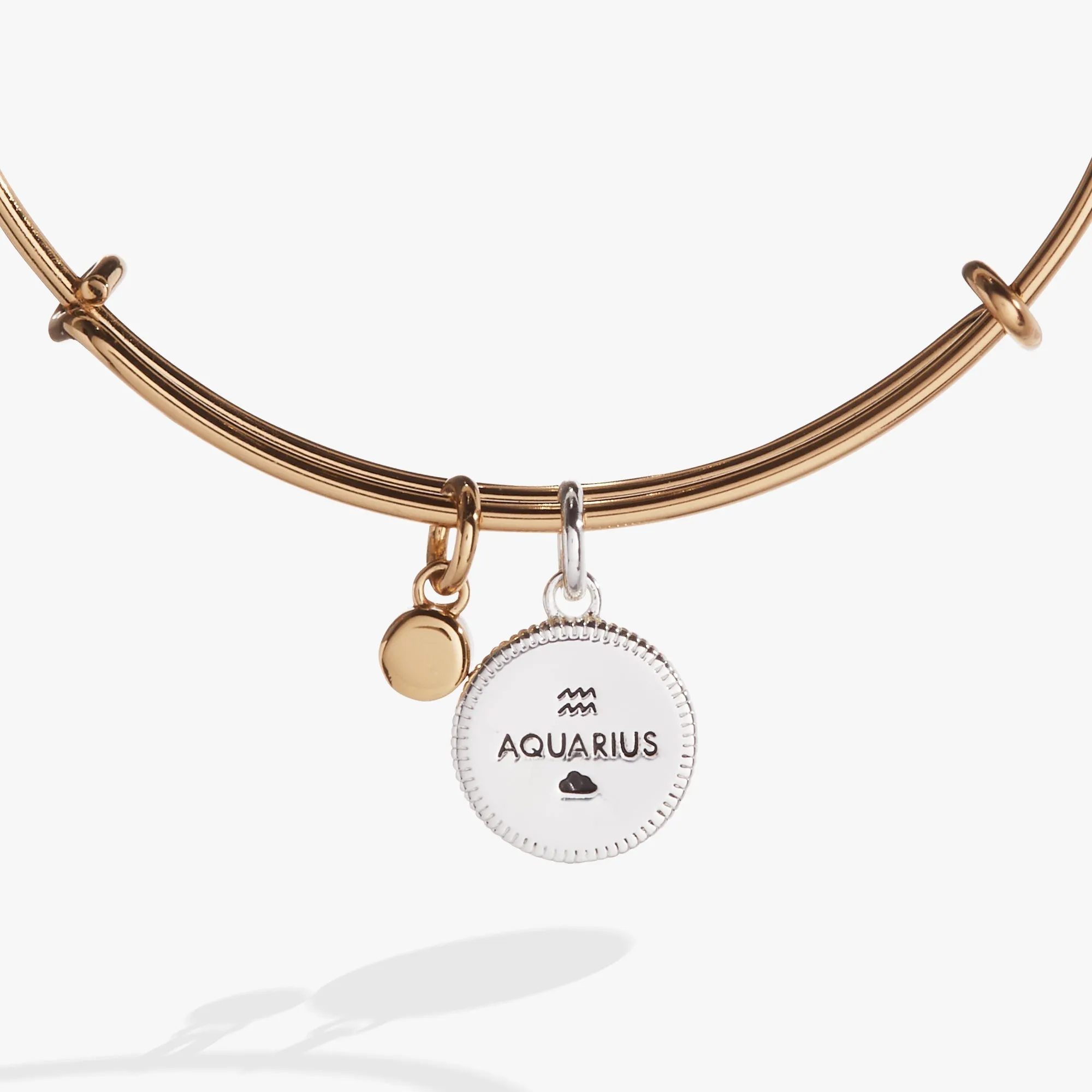 Aquarius Zodiac Charm Bangle sold by Zulily product image thumbnail 3