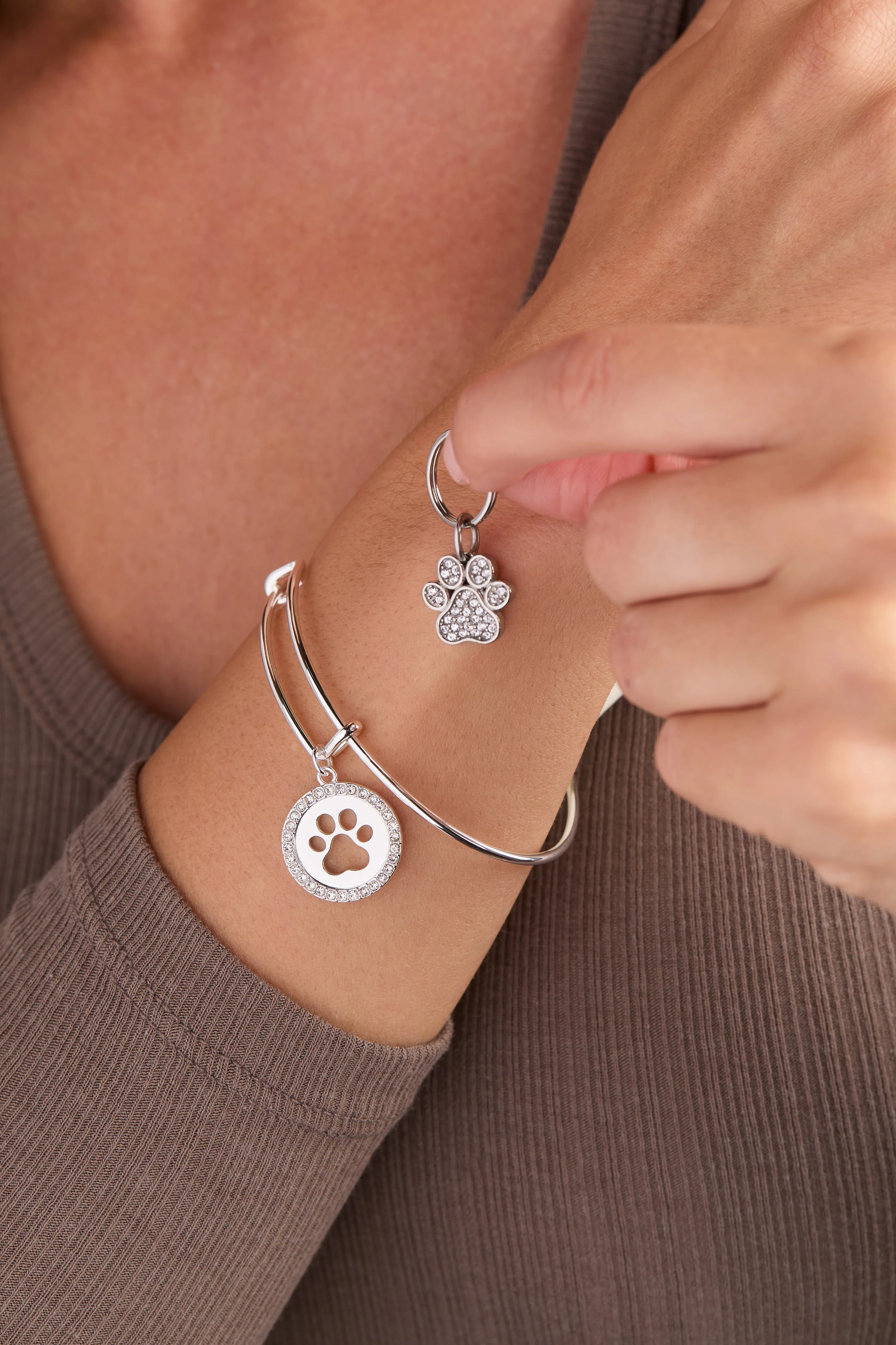 Paw Print Bangle & Pet Collar Charm Set of 2 sold by Zulily product image thumbnail 2