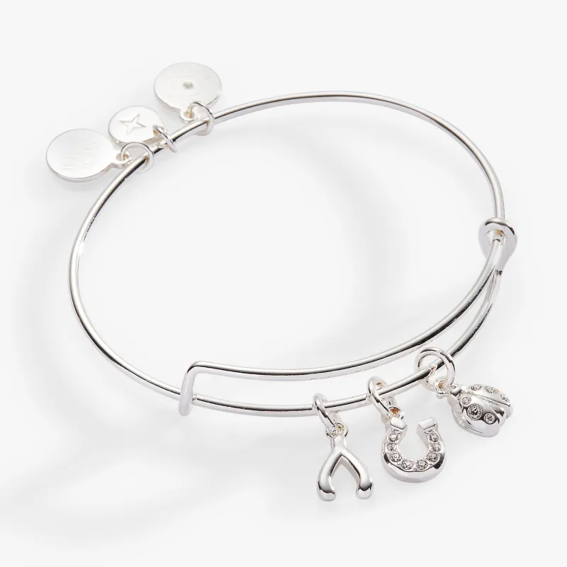 Love and Luck Multi-Charm Bangle sold by Zulily