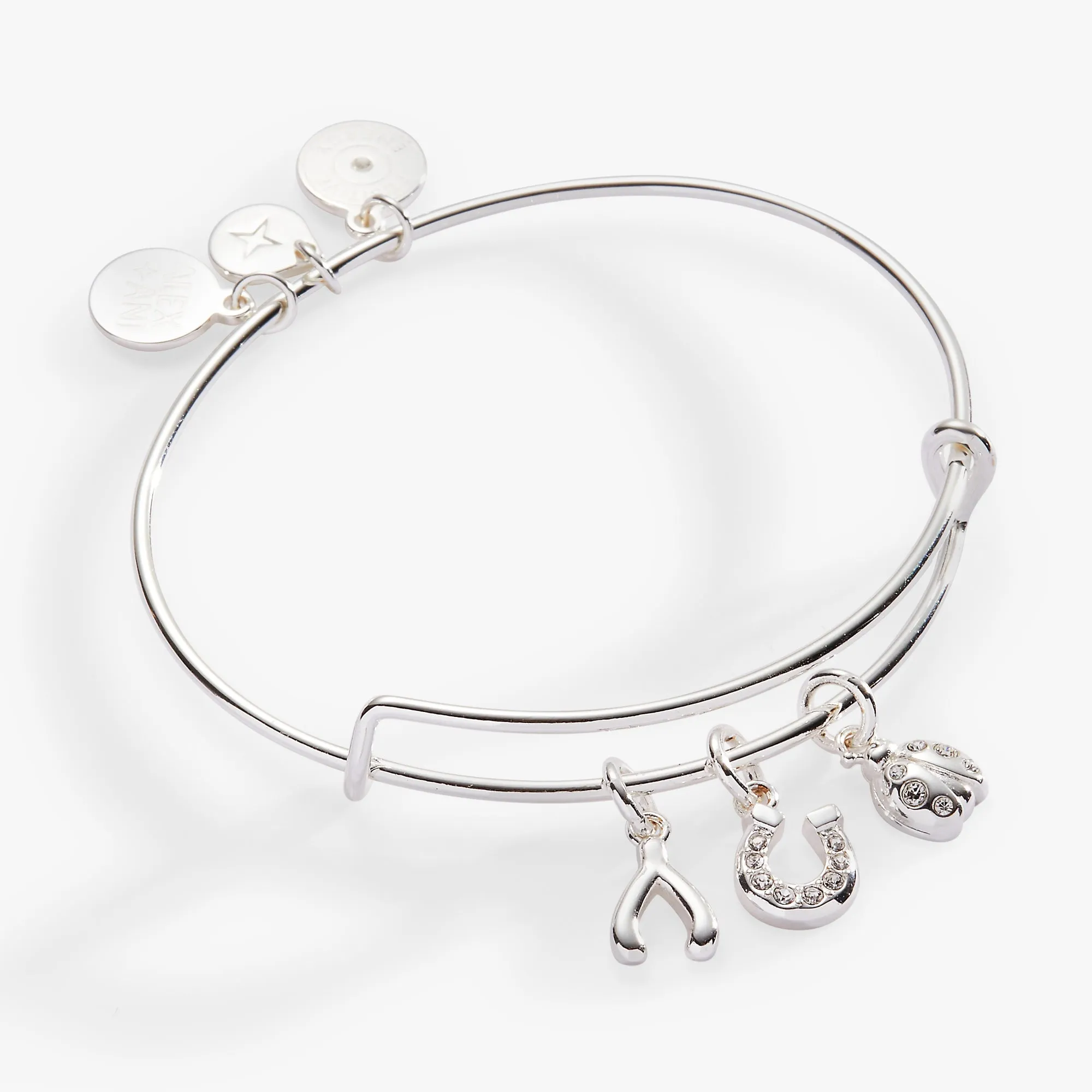 Love and Luck Multi-Charm Bangle sold by Zulily