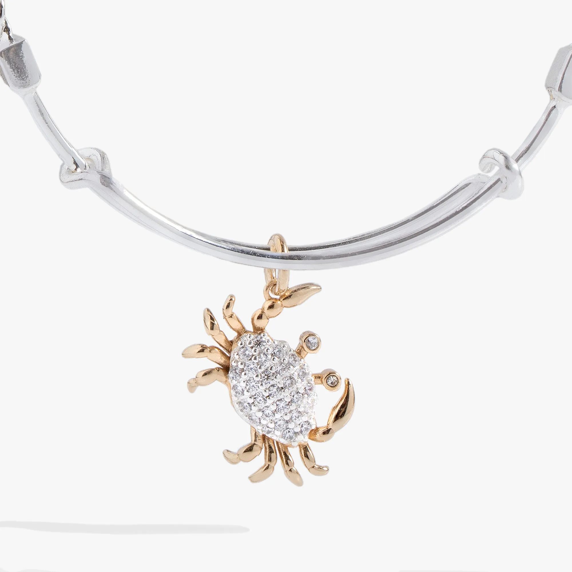 Textured Crab Charm Bangle sold by Zulily product image thumbnail 2