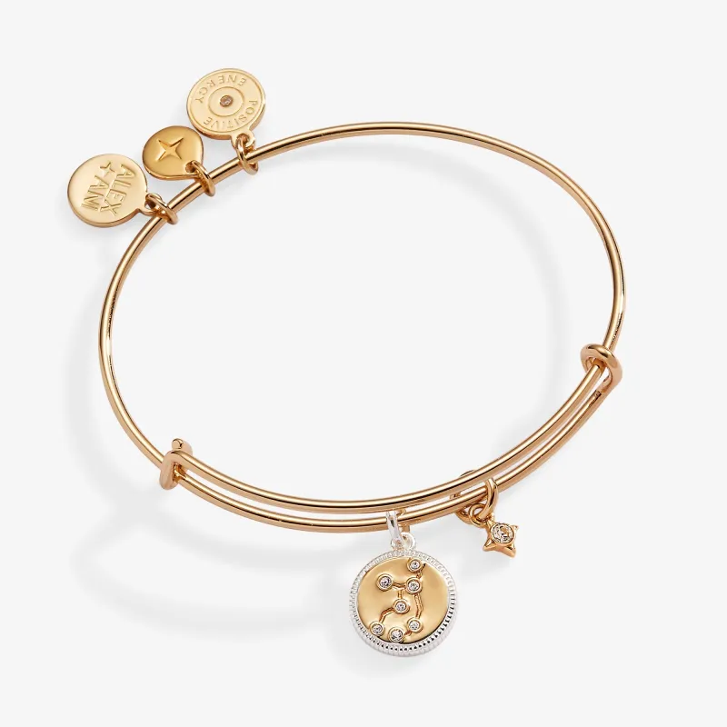 Virgo Zodiac Charm Bangle sold by Zulily