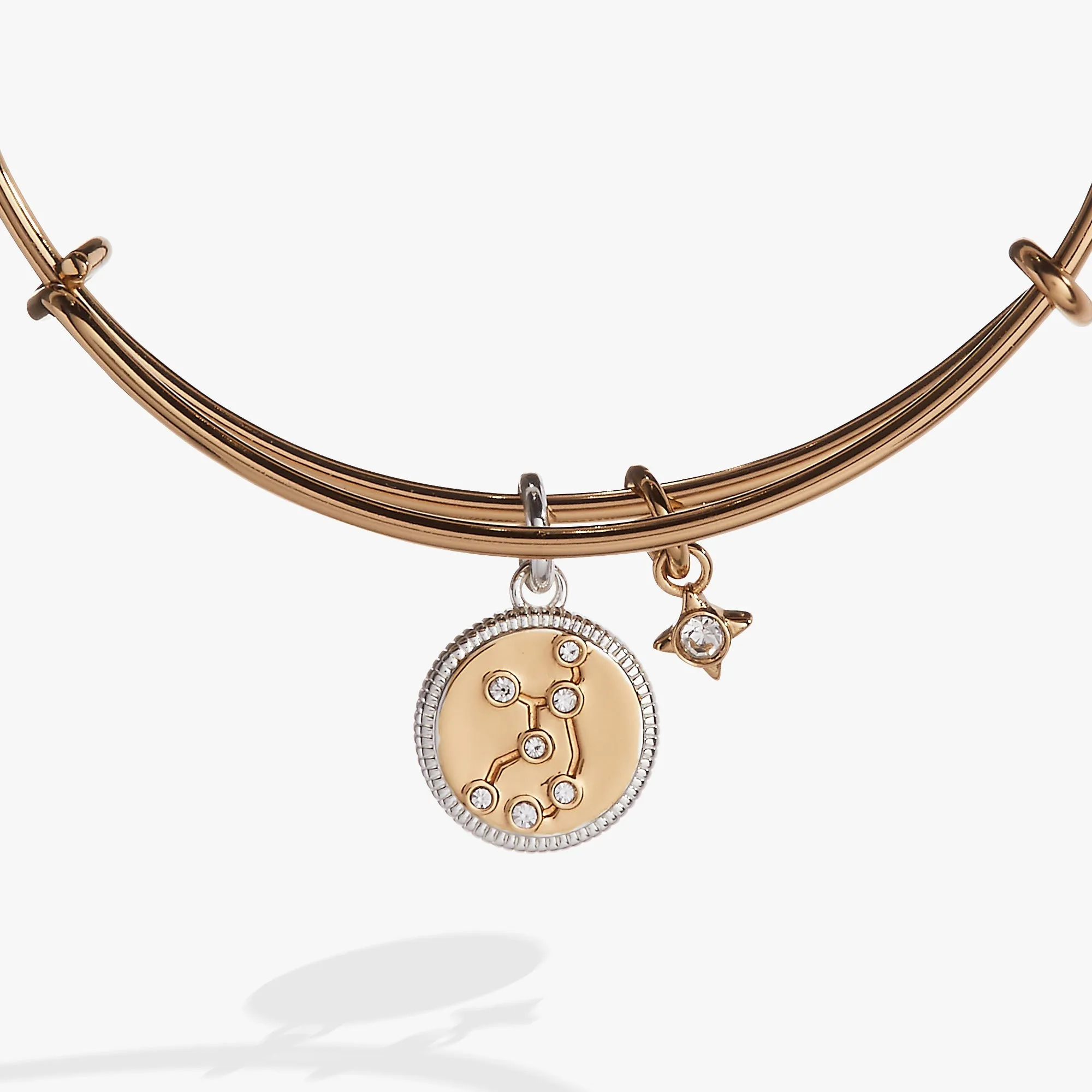 Virgo Zodiac Charm Bangle sold by Zulily product image thumbnail 2