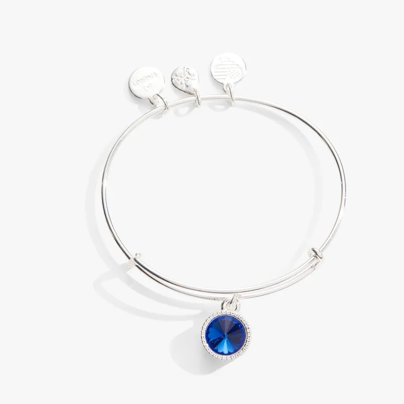 September Birthstone Charm Bangle, Sapphire sold by Zulily