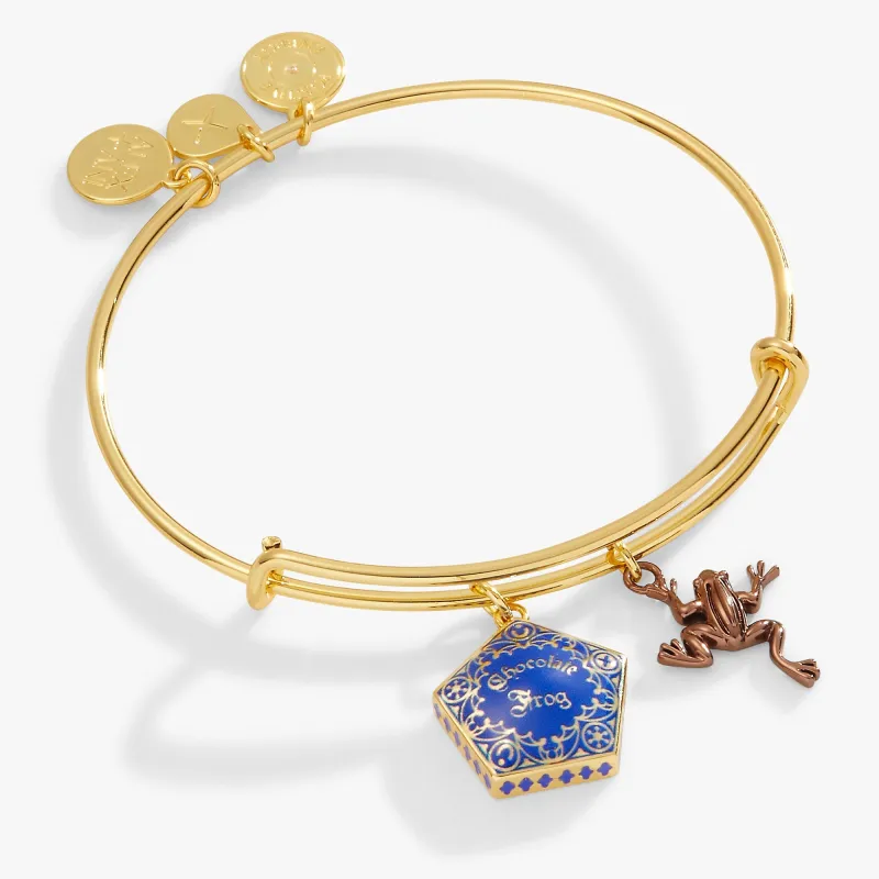 Harry Potter™ Chocolate Frog Two-Charm Bangle sold by Zulily