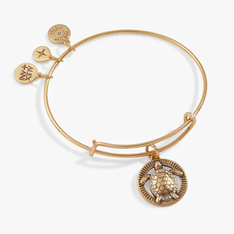 Turtle Charm Bangle sold by Zulily