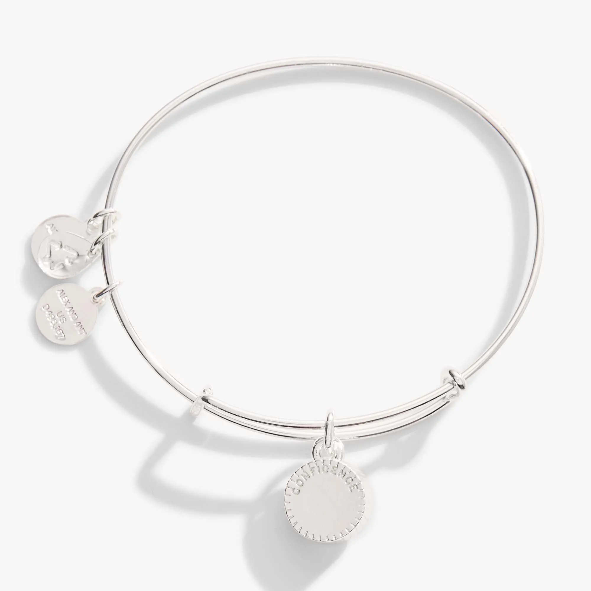 June Birthstone Charm Bangle, Light Amethyst sold by Zulily product image thumbnail 3