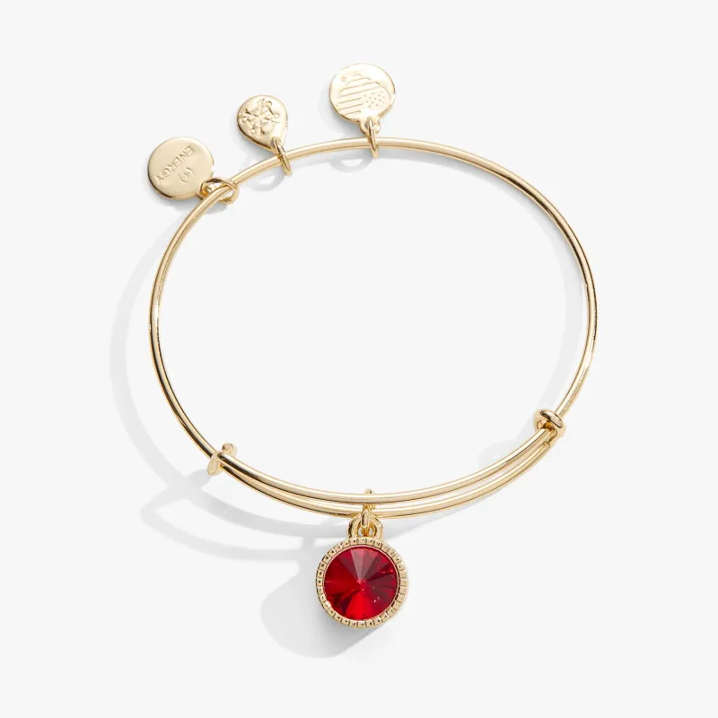 July Birthstone Charm Bangle, Ruby sold by Zulily