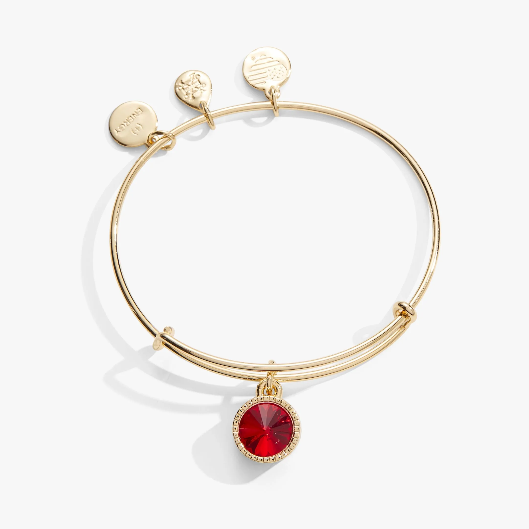 July Birthstone Charm Bangle, Ruby sold by Zulily