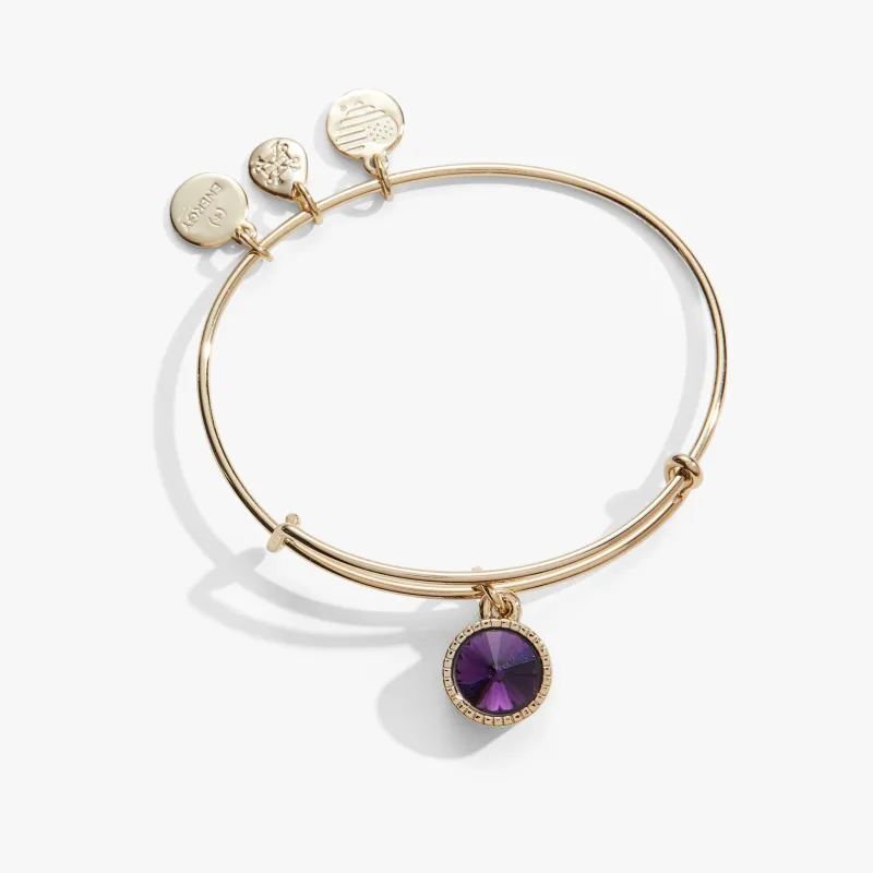 February Birthstone Charm Bangle, Amethyst made by Alex and Ani