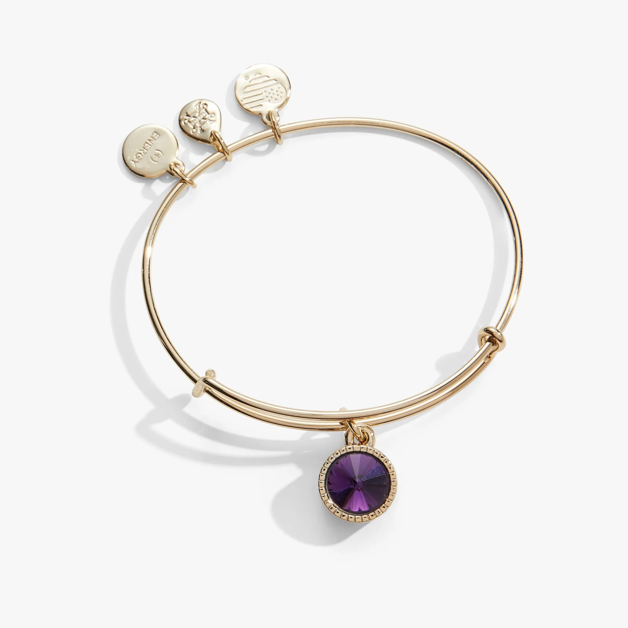 February Birthstone Charm Bangle, Amethyst sold by Zulily
