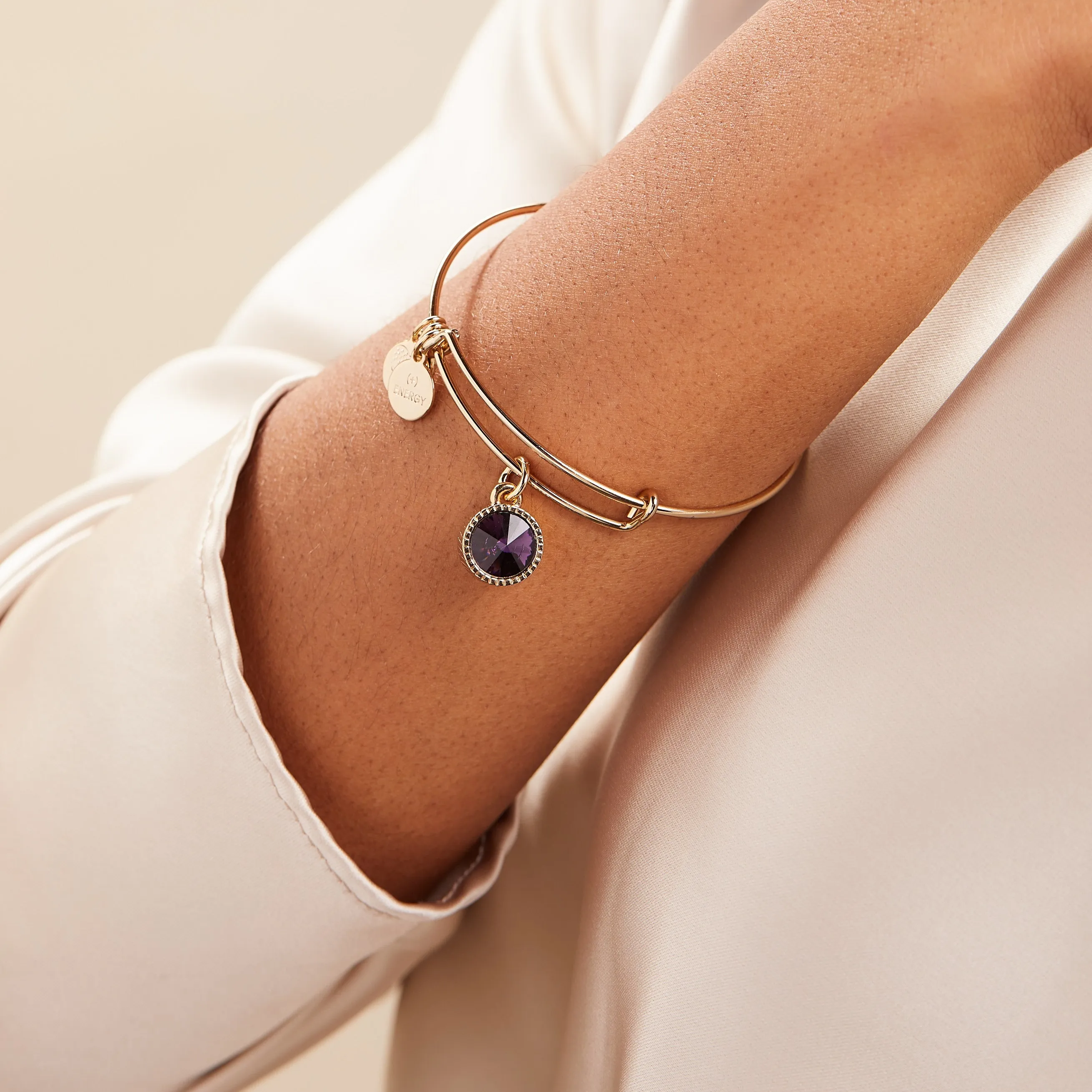 February Birthstone Charm Bangle, Amethyst sold by Zulily product image thumbnail 5