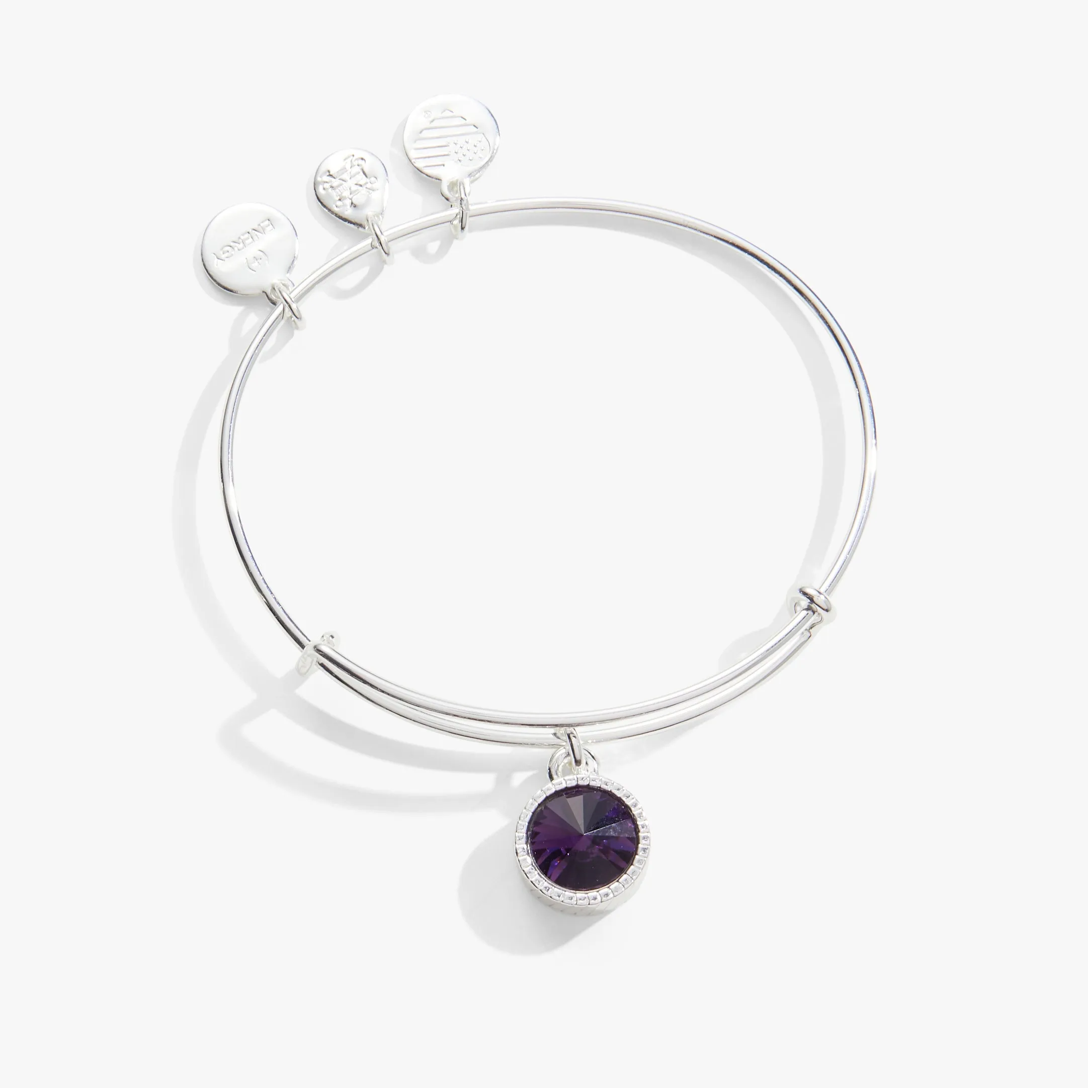 February Birthstone Charm Bangle, Amethyst sold by Zulily product image thumbnail 2