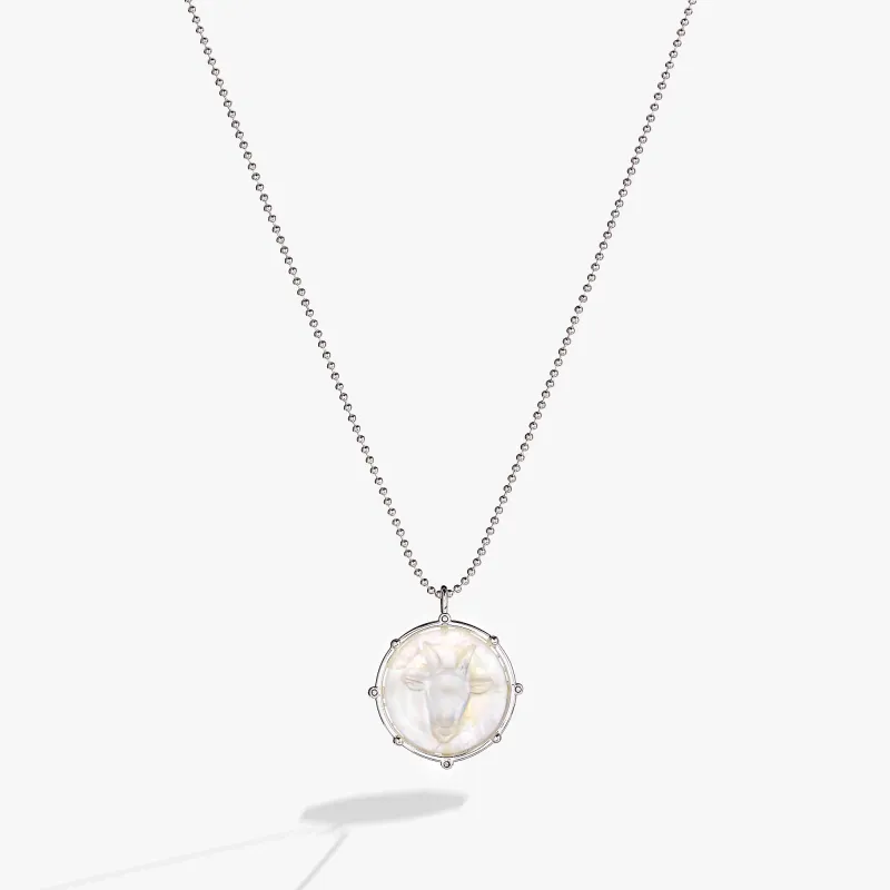 Capricorn Zodiac Double-Sided Charm Necklace made by Alex and Ani
