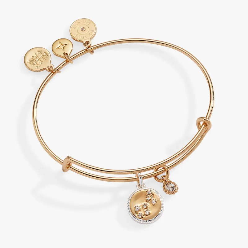 Scorpio Zodiac Charm Bangle sold by Zulily
