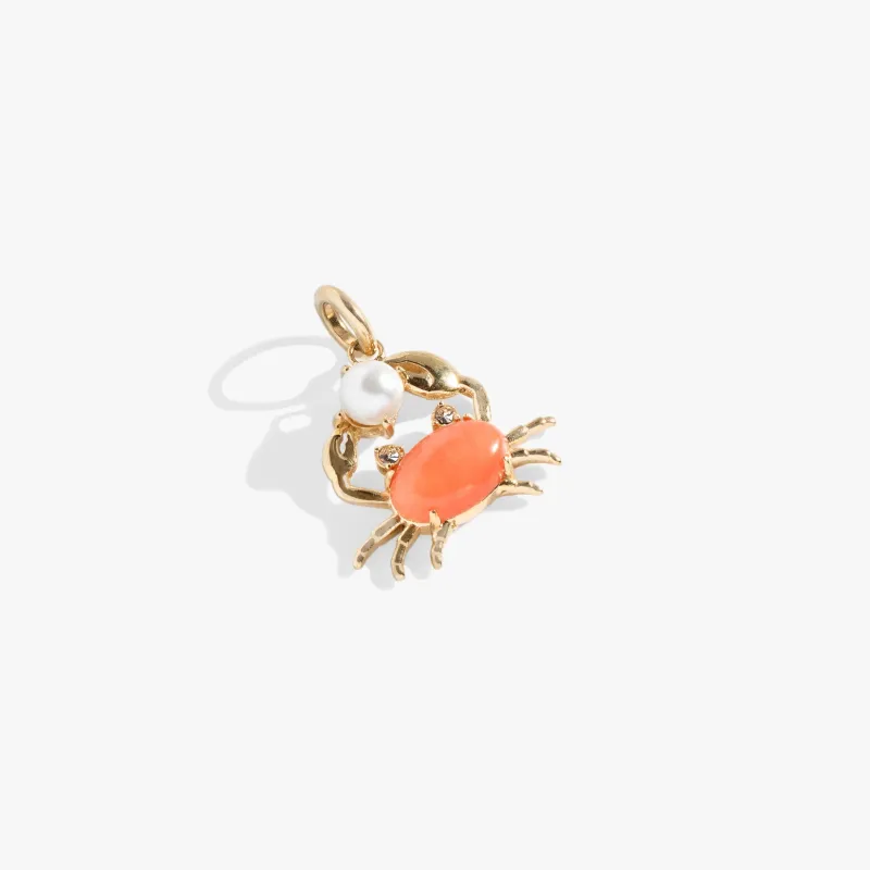 Crab Interchangeable Charm sold by Zulily